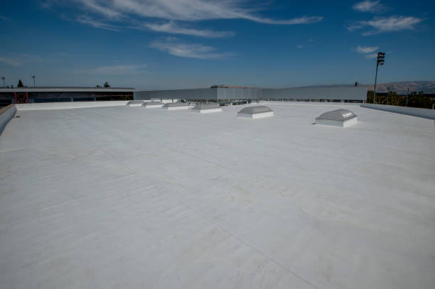 Best Asphalt Shingle Roofing  in Newberry, SC